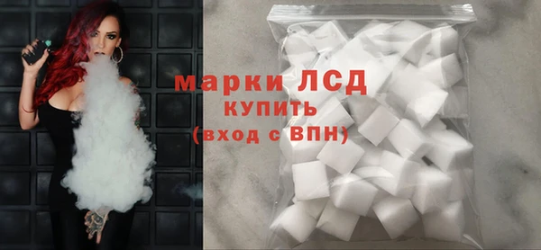 ПСИЛОЦИБИНОВЫЕ ГРИБЫ Новозыбков