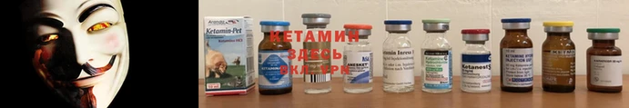 ПСИЛОЦИБИНОВЫЕ ГРИБЫ Няндома