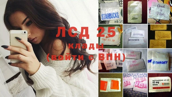 ПСИЛОЦИБИНОВЫЕ ГРИБЫ Няндома