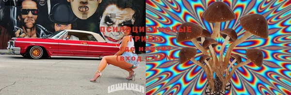 MDMA Нязепетровск