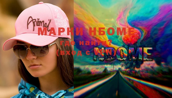 ПСИЛОЦИБИНОВЫЕ ГРИБЫ Няндома