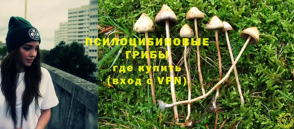 ПСИЛОЦИБИНОВЫЕ ГРИБЫ Няндома