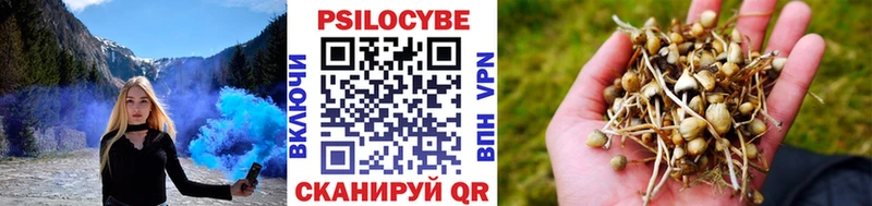 продажа наркотиков Алексеевка Галлюциногенные грибы ЛСД