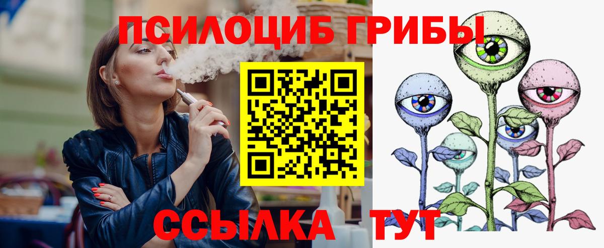 Галлюциногенные грибы мицелий  наркота  Алексеевка  Псилоцибиновые грибы Magic Shrooms 