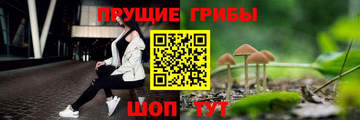 Псилоцибиновые грибы прущие грибы  Галлюциногенные грибы Psilocybe  продажа наркотиков  Вход с VPN  Алексеевка 