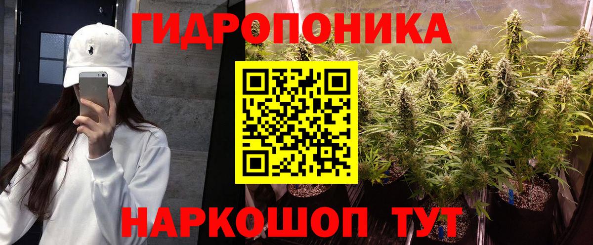 Шишки марихуана семена Алексеевка